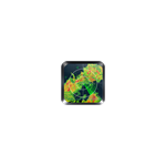Weather Radar Pro.