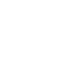 MPEG-2 Video Extension