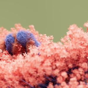 Blooming Dimensions